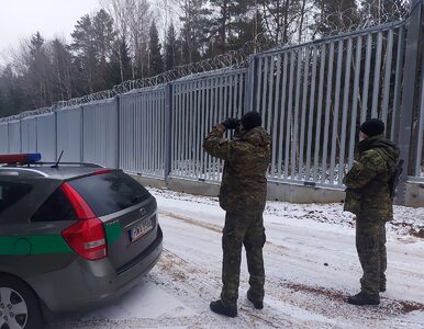 Nowe dane Straży Granicznej. Tylu cudzoziemców chciało się dostać do Polski