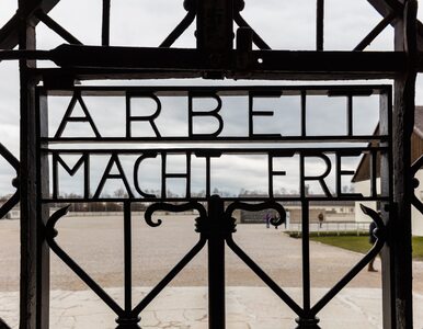 Miniatura: Dachau było okrutnym „wzorem” dla obozów...
