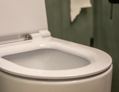 Miniatura: Wyciśnij do toalety, odczekaj i spłucz....