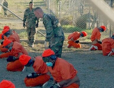 Miniatura: Dwóch więźniów opuściło Guantanamo,...