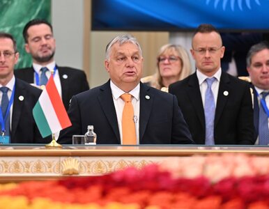 Miniatura: Viktor Orban ma „plan B”. „Uspokajający...