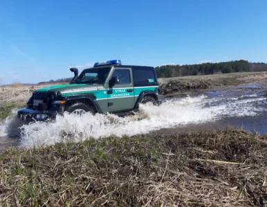 Miniatura: Podlaski spokój zmienił się w film...