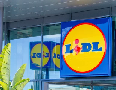 Miniatura: To nie pomyłka. Lidl naprawdę sprzedaje te...