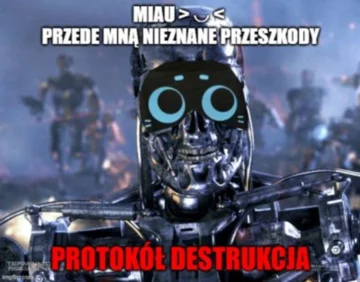 Mem z Kerfusiem 