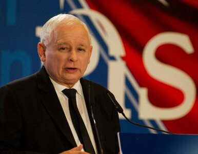 Miniatura: Jarosław Kaczyński nie docenił kandydata...