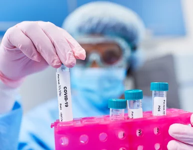 Miniatura: Nowy wariant koronawirusa. Zdecydowana...