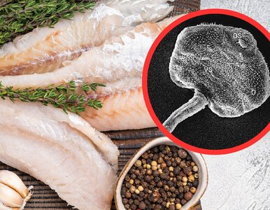 Miniatura: Inwazja ryb z pasożytami, są zagrożeniem...