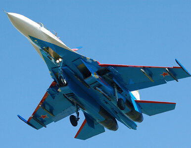 Miniatura: Rosja. Katastrofa Su-27 pod Moskwą