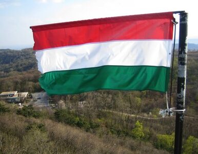 Miniatura: Węgierski rząd opracowuje nowe przepisy....