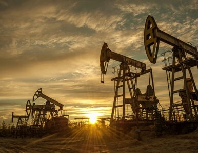 Miniatura: Zapasy ropy naftowej powstrzymują podwyżki
