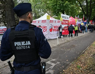 Miniatura: Co dalej ze Święczkowskim w Trybunale?...