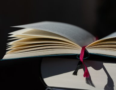Miniatura: QUIZ ze związków frazeologicznych....