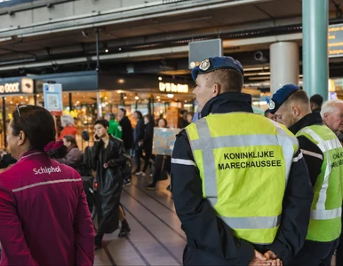 Miniatura: Holenderska policja aresztowała Polaków na...