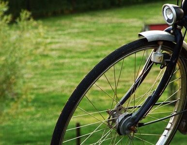 Miniatura: Polacy coraz częściej jeżdżą na rowerze