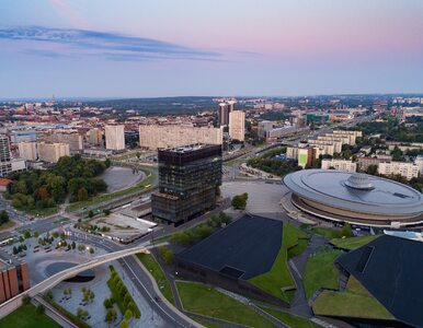 Miniatura: Powstanie „druga Warszawa”? Projekt...