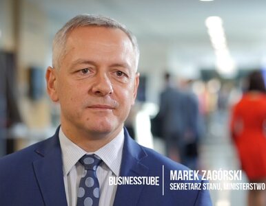 Miniatura: Businesstube: Marek Zagórski, Ministerstwo...