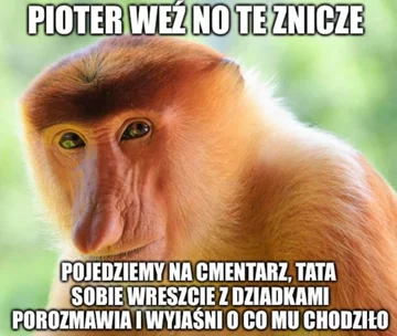 Smutny mem z nosaczem 