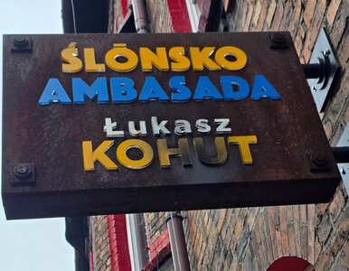 Miniatura: Brutalny atak na Śląską Ambasadę europosła...
