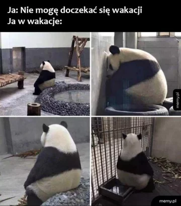 Minęła połowa wakacji. Internauci publikują memy 