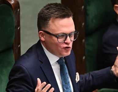 Miniatura: Tomasz Lis o Hołowni: Rozbrykany bachor,...