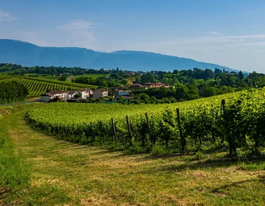 Miniatura: Wolą pobierać zasiłki niż pracować?...