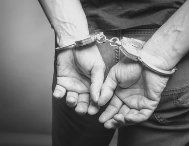 Miniatura: Przyznał się do zabójstwa 7-miesięcznego...