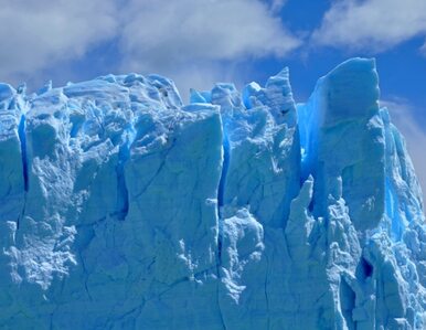 Miniatura: Zwiedź Antarktydę nie ruszając się z domu