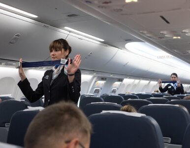 Miniatura: Dlaczego stewardesy siedzą na dłoniach...