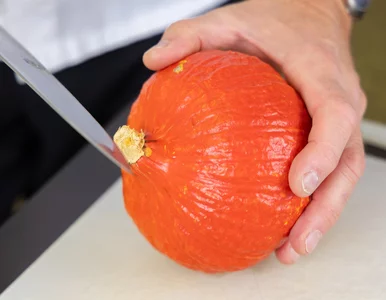 Miniatura: Sezon na dynie krótki, zyski duże. Ile...