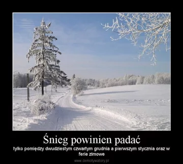 Ferie zimowe 2020 - memy 