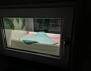 Miniatura: Niemowlę w oknie życia w Wieluniu. Siostry...