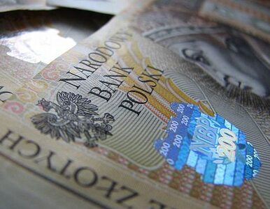 Miniatura: Polski dług kupują głównie Europejczycy