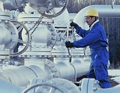Miniatura: Turcja podpisze umowę o gazociągu Nabucco
