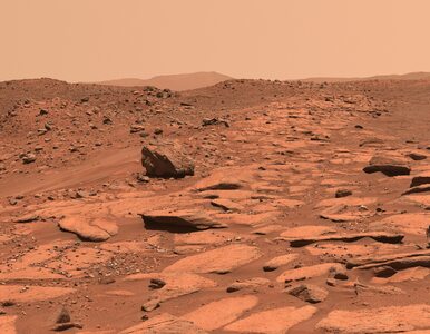 Miniatura: Mars był pełen rzek. Nowe odkrycie NASA