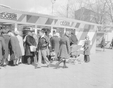 Miniatura: Konia z rzędem temu, kto rozwiąże ten QUIZ...