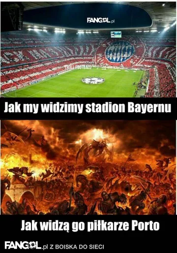 fot. fangol.pl