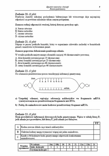 Matura 2013. Zobacz arkusze egzaminacyjne z biologii - poziom podstawowy (fot.CKE)
