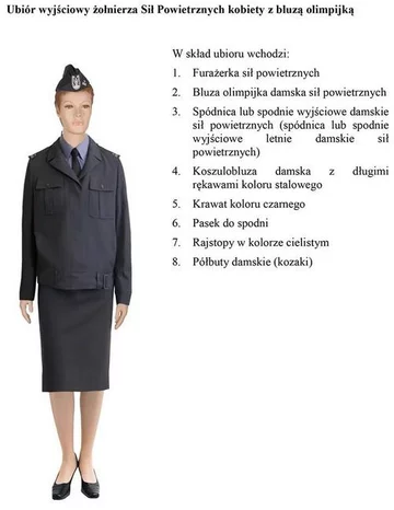 fot. MON/Polska-Zbrojna.pl