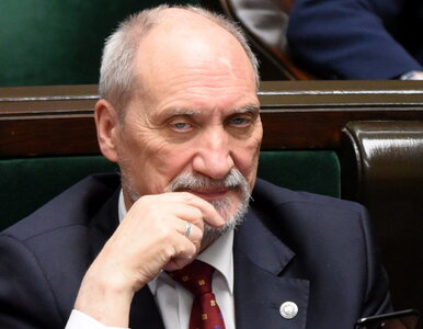 Miniatura: Macierewicz wyjaśnia, ile kosztuje komisja...