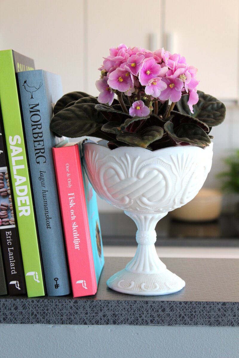 Saintpaulia w&nbsp;eleganckiej, ceramicznej misie świetnie sprawdza się jako naturalna ozdoba biblioteczki lub&nbsp;kuchennej p&oacute;łki
