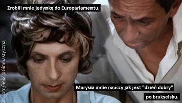 Mem po wyborach do PE 