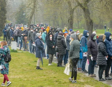 Miniatura: Rząd zachwycony swoją akcją szczepień....