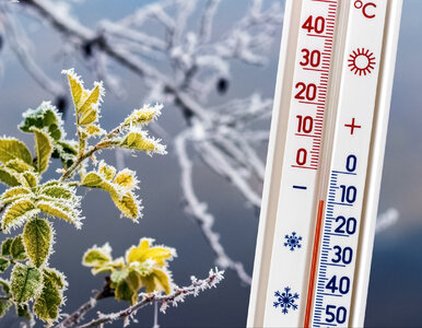 Miniatura: Polskę czeka zima pełna śniegu....