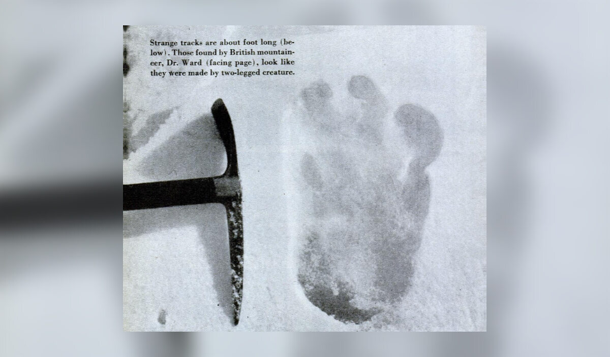 Odcisk stopy, który miał pozostawić yeti Zdjęcie zostało wykonane przez Eric Shipton ma lodowcu Menlung  w 1951 roku.