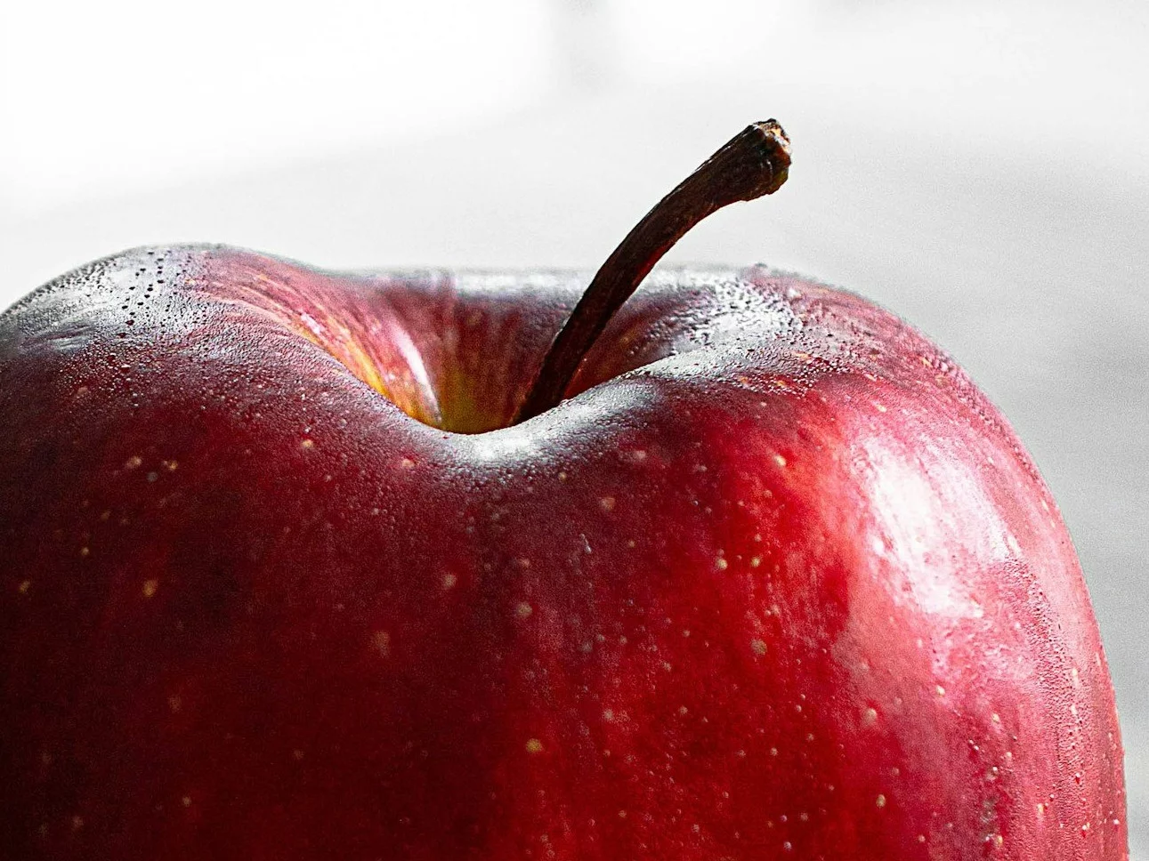 Co przedstawia zdjęcie?