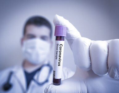 Miniatura: Lek przeciwko koronawirusowi już w fazie...