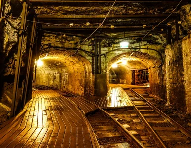 Miniatura: List z 1949 roku uruchomił machinę. Tak...