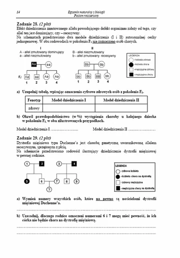 Matura 2013. Zobacz arkusze egzaminacyjne z biologii - poziom rozszerzony (fot.CKE)