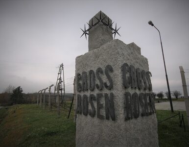 Miniatura: Obóz w Gross-Rosen: Odkryto masowe groby...