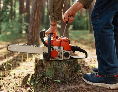 Miniatura: Wsyp to do pnia i przykryj plandeką....